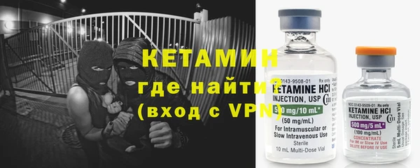 крисы Алексин