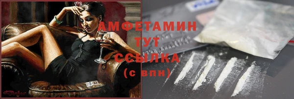 сатива Алзамай