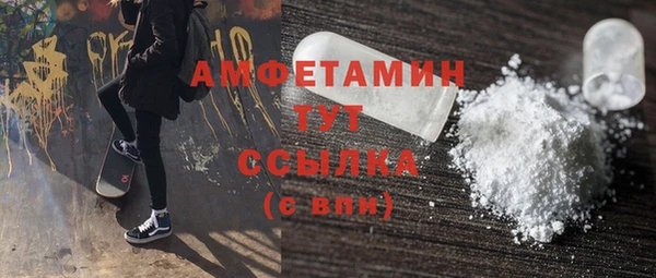 крисы Алексин