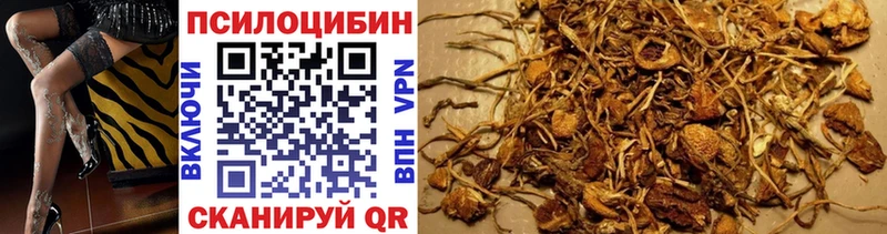 купить наркоту  площадка телеграм  Псилоцибиновые грибы прущие грибы  Пикалёво 